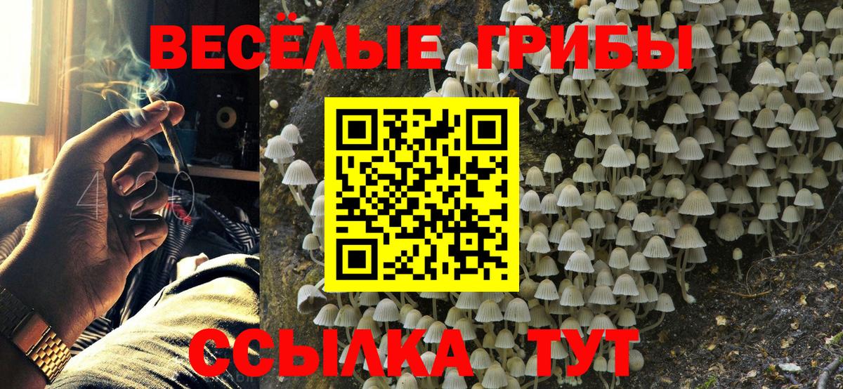 продажа наркотиков  Галлюциногенные грибы мухоморы  Вход с VPN  Галлюциногенные грибы MAGIC MUSHROOMS  Обнинск 